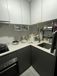 Affinity At Serangoon (D19), Apartment #563226751
